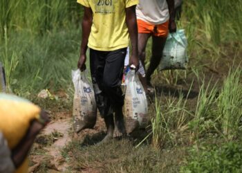 AFP | The United Nations' food assistance branch urges immediate action to prevent a 'catastrophe'