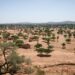 The two Spanish journalists were making a documentary on conservation in Burkina Faso, Madrid said | AFP