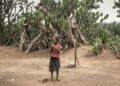 Many children have been suffering from malnutrition through year after year of drought in southern Madagascar | AFP