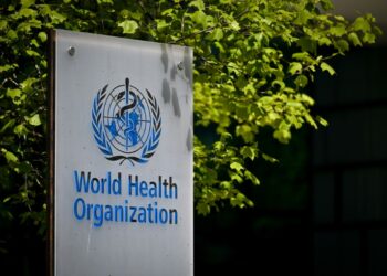 Major reform of the UN health agency is on the agenda at the annual meeting of member states | AFP