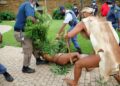 Police, you have declared war,' shouted the group's leader, who calls himself King Khoisan South Africa | AFP