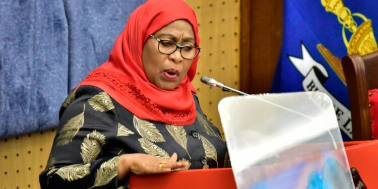 Tanzania's President Samia Suluhu Hassan has accused rivals inside the government of trying to damage her leadership | AFP