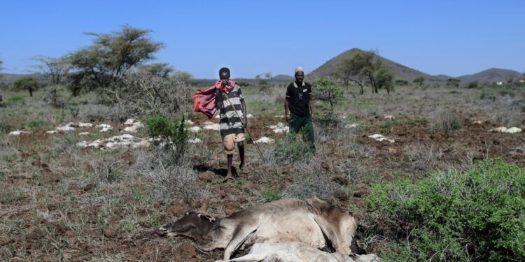 Marsabit has been the scene of a prolonged drought |  AFP