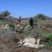 Marsabit has been the scene of a prolonged drought |  AFP