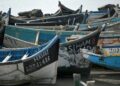 African migrants try to reach Spain's Canary Islands aboard open canoes known as pirogues. Pictured: a 'boat graveyard' at Arinaga on Gran Canaria island | AFP