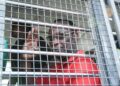 Chadema chairman Freeman Mbowe has been behind bars since July | AFP