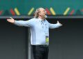 Gambia coach Tom Saintfiet reacts during a 2021 Africa Cup of Nations group match against Mali in Cameroon | AFP