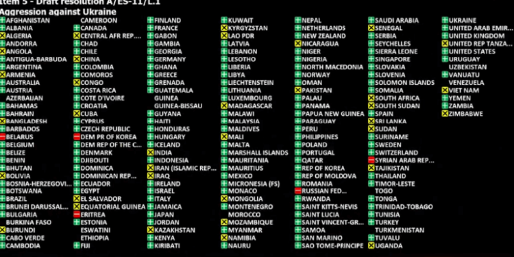 United Nations General Assembly resolution passes with 141 Nations | Source: UN