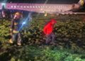 A RwandAir plane, flight RWD464 from Nairobi, skidded off the runway on touchdown at Entebbe International Airport at 5:45am on Wednesday, according to sources in Kigali and Kampala.