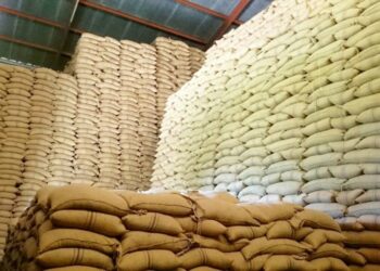 Kenyans to Import Maize
