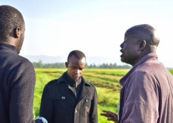 Shem Omalla, veteran rice farmer in conversation with this author | 
Photo The Kenya Times