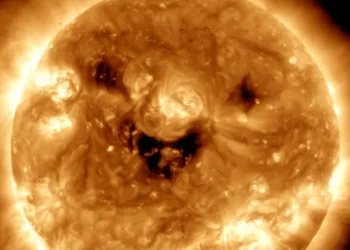 Image of the sun 
Photo: NASA
