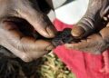 Female genital mutilation is outlawed under Kenyan laws.Photo/Courtesy