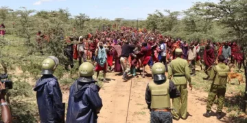A melee between Maasai pastoralists and security officers in Loliondo, Tanzania.
Photo: Courtesy
