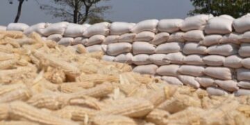 Musalia says the order to import maize should originate from the Ministry of  Agriculture.Photo/Courtesy