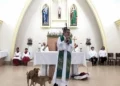 Stray dogs mounting in between a sermon :PHOTO/Courtesy