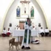 Stray dogs mounting in between a sermon :PHOTO/Courtesy