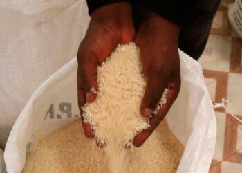 Linturi says rice consumption will be an option amid the biting maize shortage. Photo/Courtesy