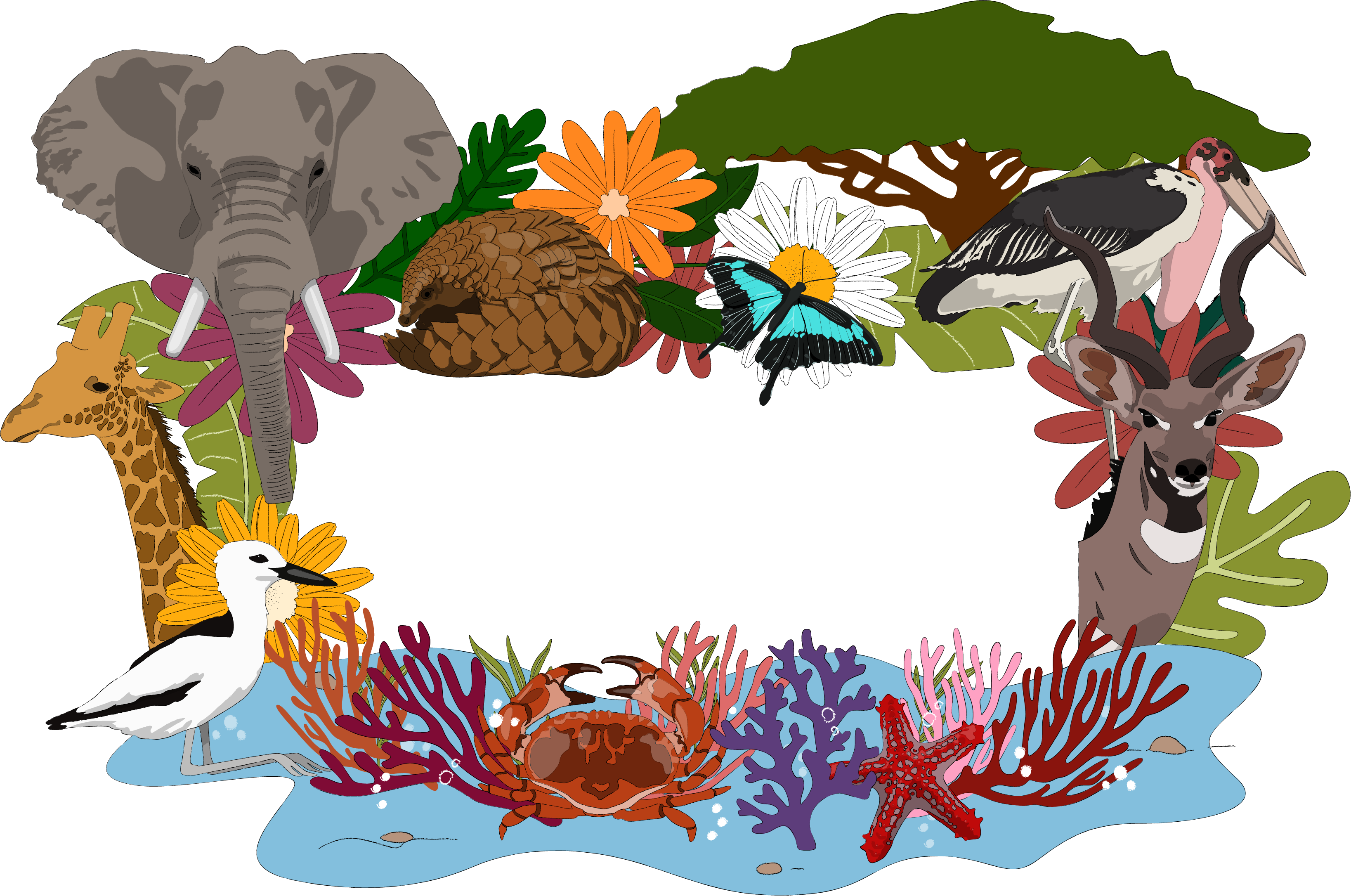 Kenya to Host First Ever African Wildscreen Festival The Kenya Times